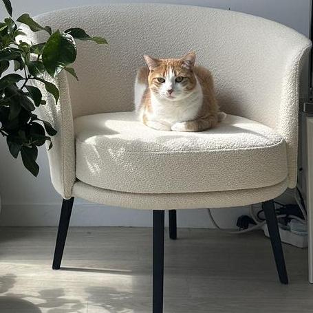 Mayi Hub Github - Download Gorgeous Light Pattern | Retina