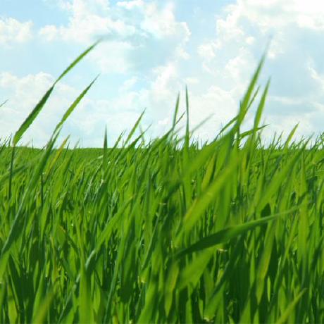 Bigger Pixel Github - Geometric Wallpaper Collection - Full HD Quality