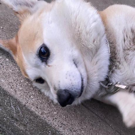 Kishida Daiken Github - Ultra HD Landscape Backgrounds for Desktop