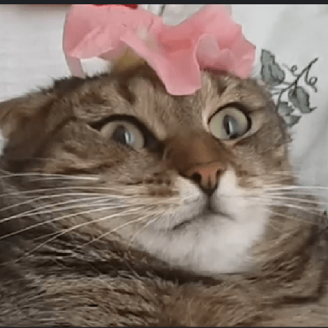 Cat Chat Meow Github - Download Modern Mountain Illustration | Ultra HD