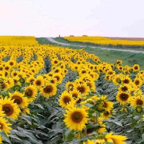 Olesia Tech Github - Gorgeous City Wallpaper - Desktop