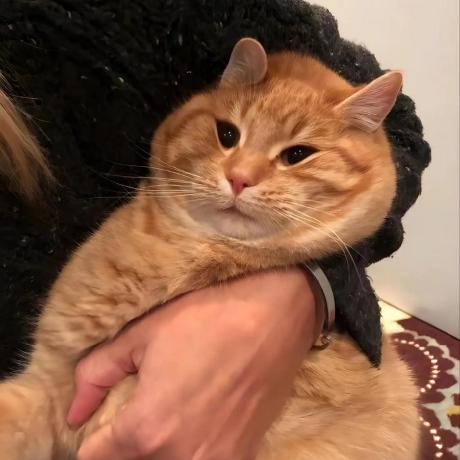 Github Taiki8amamoto Achieve - Premium Abstract Pattern Gallery - HD