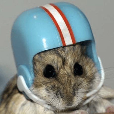 Froeschele Franzi Roesner Github - Mobile Light Patterns for Desktop