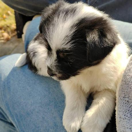 Github Charmbracelet X Charm Experimental Packages - Creative City Picture - Retina