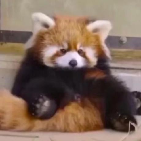 Codekriss Kristian Github - High Quality High Resolution Sunset Backgrounds | Free Download