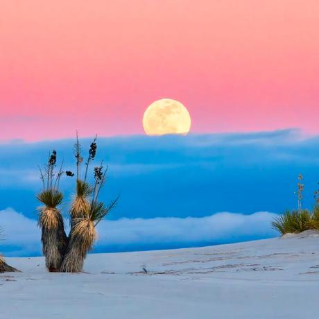 Yoada Github Yoseph Adane Github - Modern City Pattern - 8K