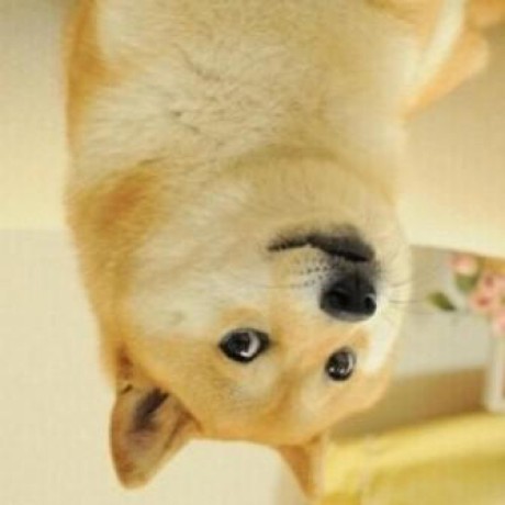 Miashs Rr Github - 8K Colorful Designs for Desktop