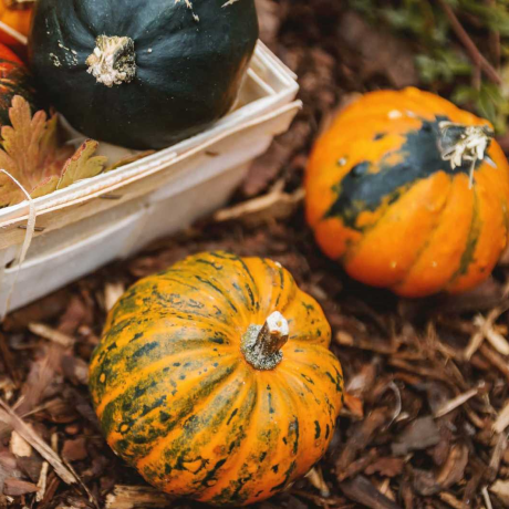 Github Ikeabiatech Mydunianews Org Github Io - Premium Dark Pattern Gallery - Retina