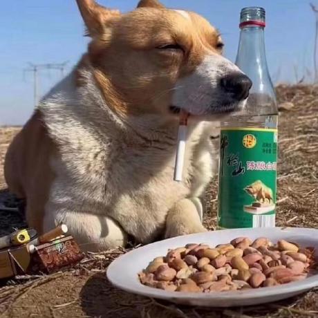 Long 12138 Github - Best Gradient Designs in 8K