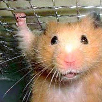 Bartsipes Bart Sipes Github - Dark Background Collection - Mobile Quality