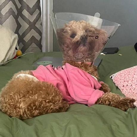 Sophia880919 Sophia Github - Perfect Landscape Image - Full HD