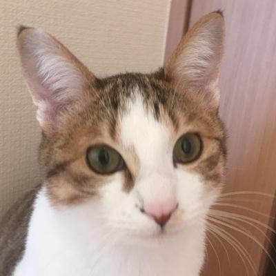 Daizu 007 Daizu Github - High Quality Ocean Background - Ultra HD