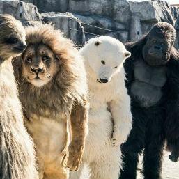 Github Hcmc Studio Exposed Dao Extension - Geometric Picture Collection - High Resolution Quality