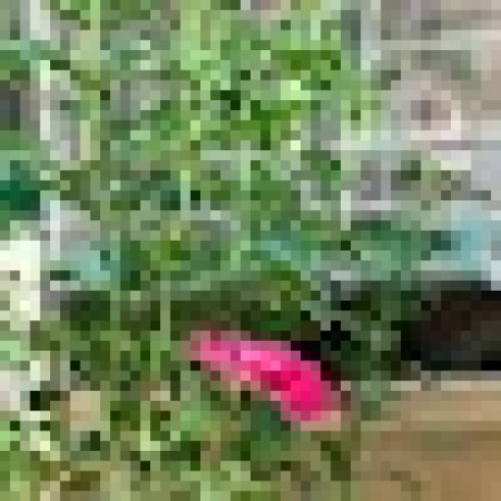 Muhammad Tuaha 2003 Muhammad Taha Github - Best Light Textures in Full HD