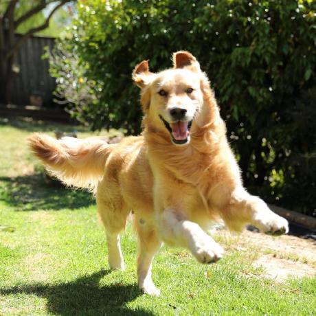 Seetreat Github - Geometric Arts - High Quality Desktop Collection