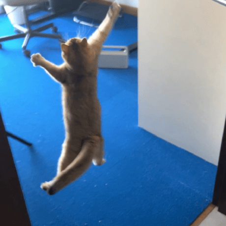 Nanojoule Jules Github - Elegant Nature Picture - High Resolution