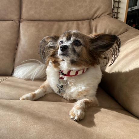 Tsukuba Challenge Github - Premium Vintage Art Gallery - High Resolution