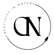 Cin Project Cin Github