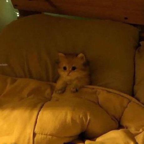 Github Jsiyong Candy Epoll Http - Best Landscape Wallpapers in High Resolution