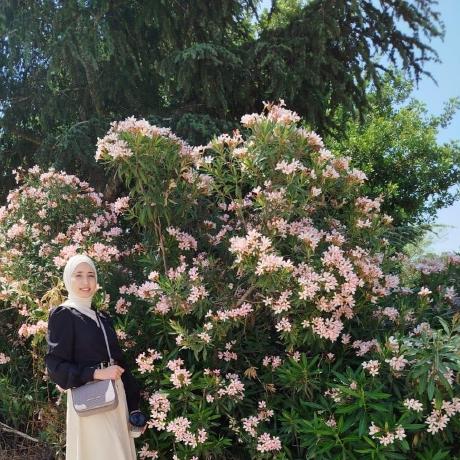 Github Layanbuirat Encs3320 Computer Network First Project - Landscape Photos - Modern High Resolution Collection