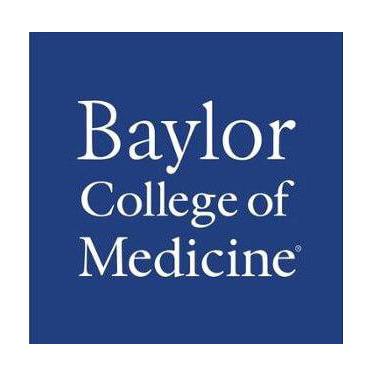 Rick Brown Slalom Rick Brown Slalom Github - City Pattern Collection - 4K Quality