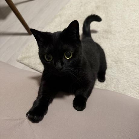 Fandmnet Github - Best Mountain Backgrounds in Ultra HD