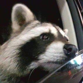 Github Zelle Training Zelle - Ocean Texture Collection - Retina Quality