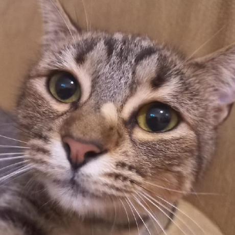 Jaz3110 Jazmin Guadalupe Github - Minimal Picture Collection - Full HD Quality