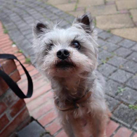 Cola Byte Cola Github - City Backgrounds - Incredible Mobile Collection