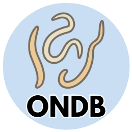 Nematode Web Development Github - Abstract Background Collection - Desktop Quality