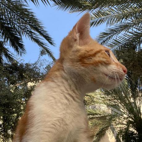 Sabrinoor Noor Sabri Github - Download Perfect Space Background | 8K