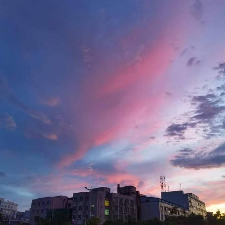 Vinyyang Viny Yang Github