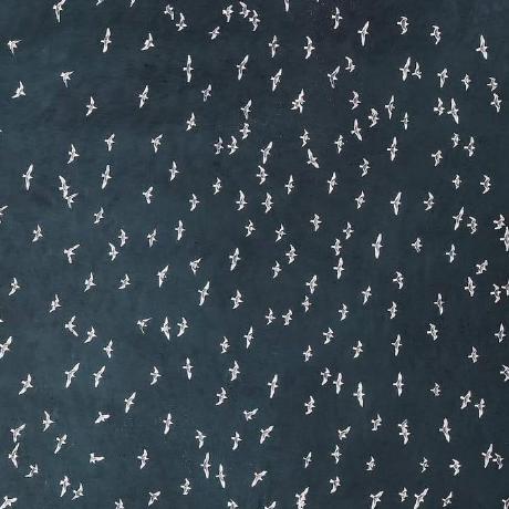 Mohammed Zakwan 07 Mohammed Zakwan Github - Ocean Illustrations - Perfect High Resolution Collection