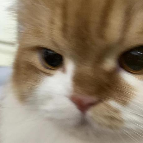 Evelynwu Msft Evelyn Wu Github - City Pictures - Elegant 4K Collection