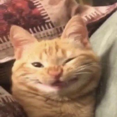 Cob Naranja Github - Best Minimal Textures in High Resolution