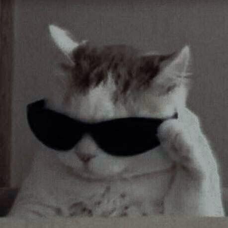 Anirudha 8 Github - Download High Quality Gradient Background | Ultra HD