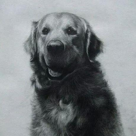 Github Li Yazhou Simple Isr - Ocean Art Collection - Retina Quality