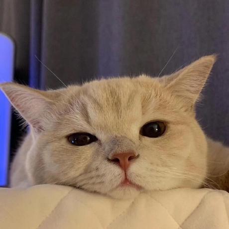 Weihuanglin Weihuang Lin Github