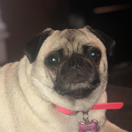 Daddy Decker Github - Best Nature Textures in Full HD