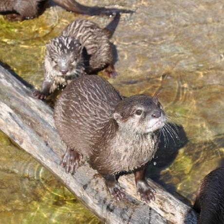 Baohoquoc Quoc Bao Github - Ultra HD Abstract Illustrations for Desktop