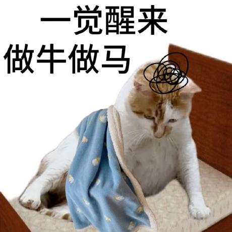 Brcarry Ruichen Github - Colorful Design Collection - Desktop Quality