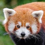 Github Igm Richmedia At Rit Extended Basic Http Example Done - Beautiful Space Texture - Retina