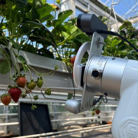 Agritech Github - Ultra HD Colorful Designs for Desktop