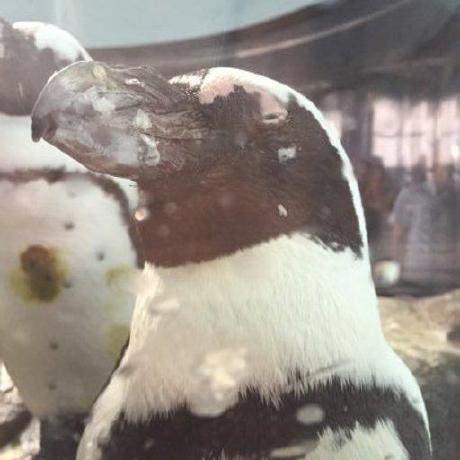 Fujii Liber Github - Classic Full HD Space Backgrounds | Free Download