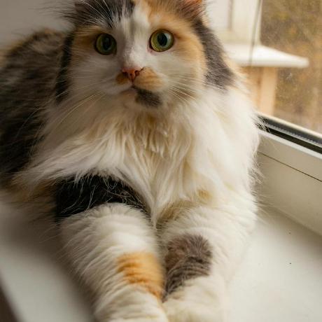 Himanshusahare Himanshu Sahare Github - Download Amazing Sunset Art | High Resolution