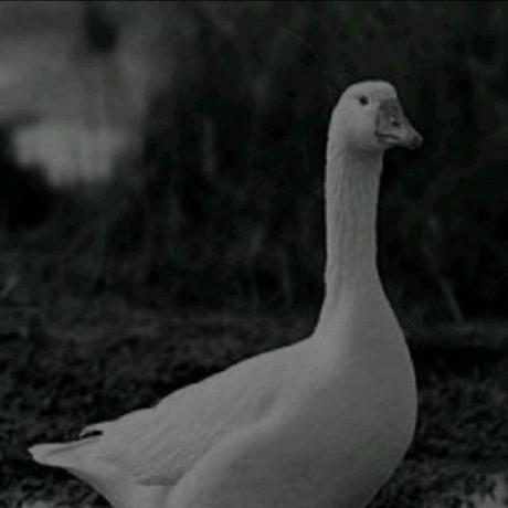 Eee Github - Abstract Background Collection - Desktop Quality