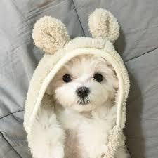 Two Senses Llc Github - Download Gorgeous Light Picture | Full HD