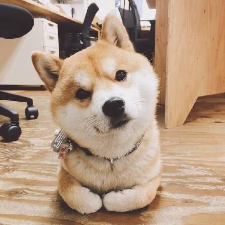 Github Dontlovebugs Sa Tsp - Premium Gradient Pattern Gallery - Retina