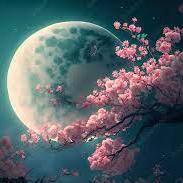 Github Kiminaze Cinematiccam - Best Space Designs in Mobile