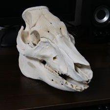 Sikebe Demo Github - Retina Sunset Textures for Desktop